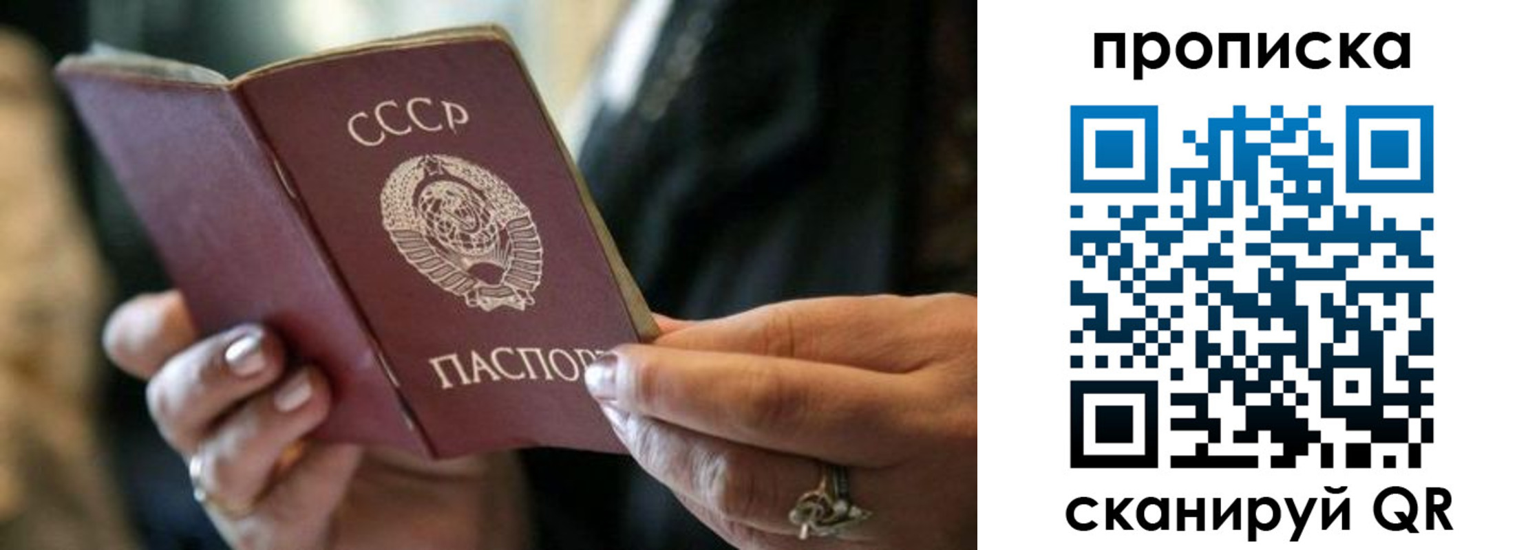 пропишу в квартире в Острове